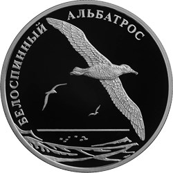 Белоспинный альбатрос